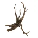 Legno Spider King 317 con foto reale e misure 24x15x30h cm
