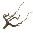 Legno Spider King 318 con foto reale e misure 33x24x25h cm