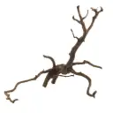 Legno Spider King 323 con foto reale e misure 31x28x30h cm