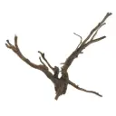 Legno Spider King 327 con foto reale e misure 35x20x27h
