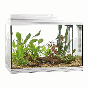 Askoll Acquario Pure LED L White 56x36x43,5h cm 68Lt
