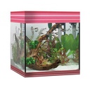 Askoll Acquario Pure LED M Ambitious Burgundy 36x36x43,5h cm 44Lt