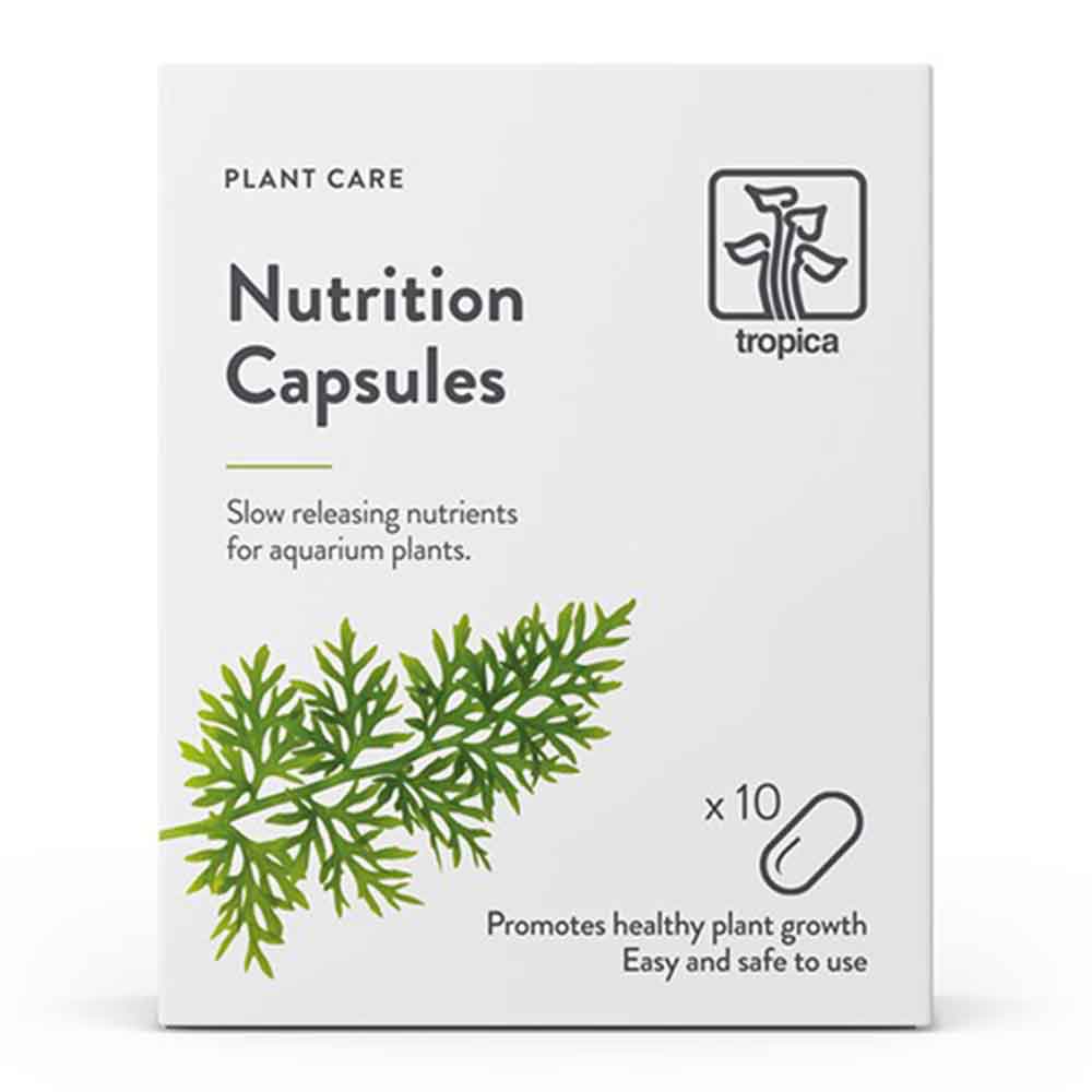 Tropica Nutrition Capsules Fertilizzante per le radici delle piante 10 capsule