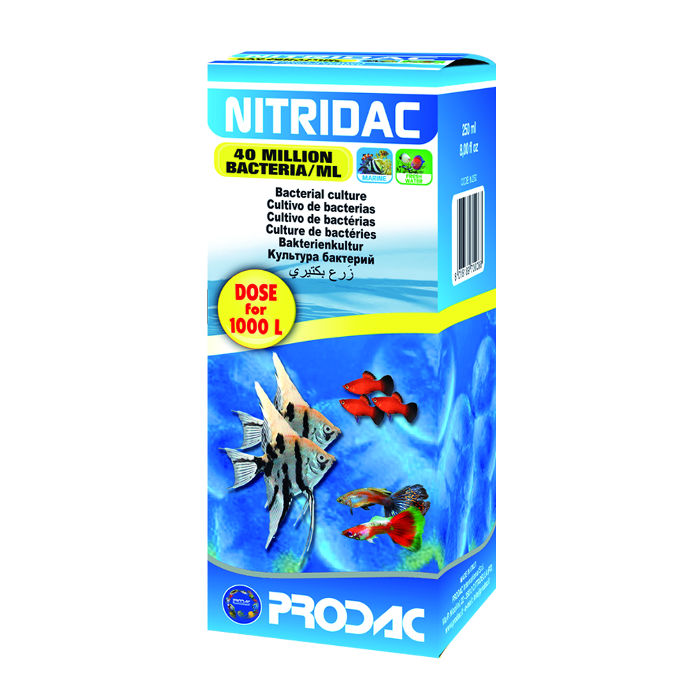 Prodac Nitridac Batteri 100 ml per 1000 l