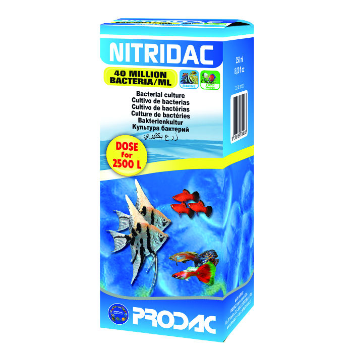 Prodac Nitridac Batteri 250 ml per 2500 l