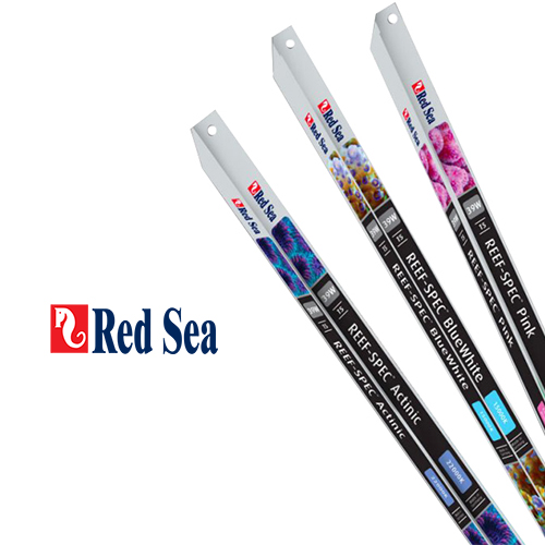Red Sea Lampada T5 Reef Spec Bluwhite 80W 145cm