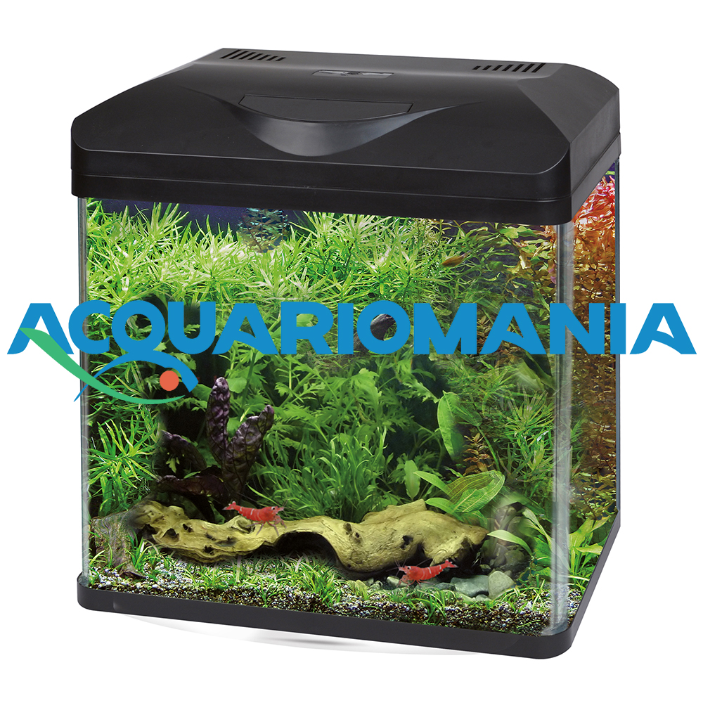Amtra Acquario Laguna 30 Led 20lt 30x23,5x34,5h cm