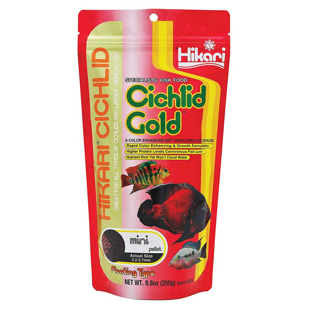 Hikari Cichlid Gold Mini Alimento per la colorazione dei Ciclidi 250g