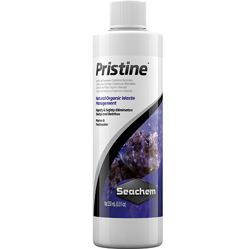 Seachem Pristine Batteri decompositori di ammoniaca/nitriti/nitrati nel dolce e marino 250 ml