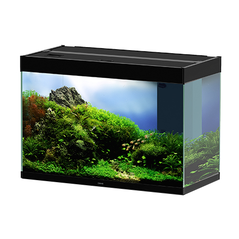 Ciano Aquarium Emotions Pro 80 Nero Acquario Filtro Esterno 81,2x40,2x56h cm 145lt
