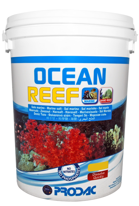 Prodac Ocean Reef Sale per Acquari di Barriera con Coralli 30 Kg per 900 l in secchio