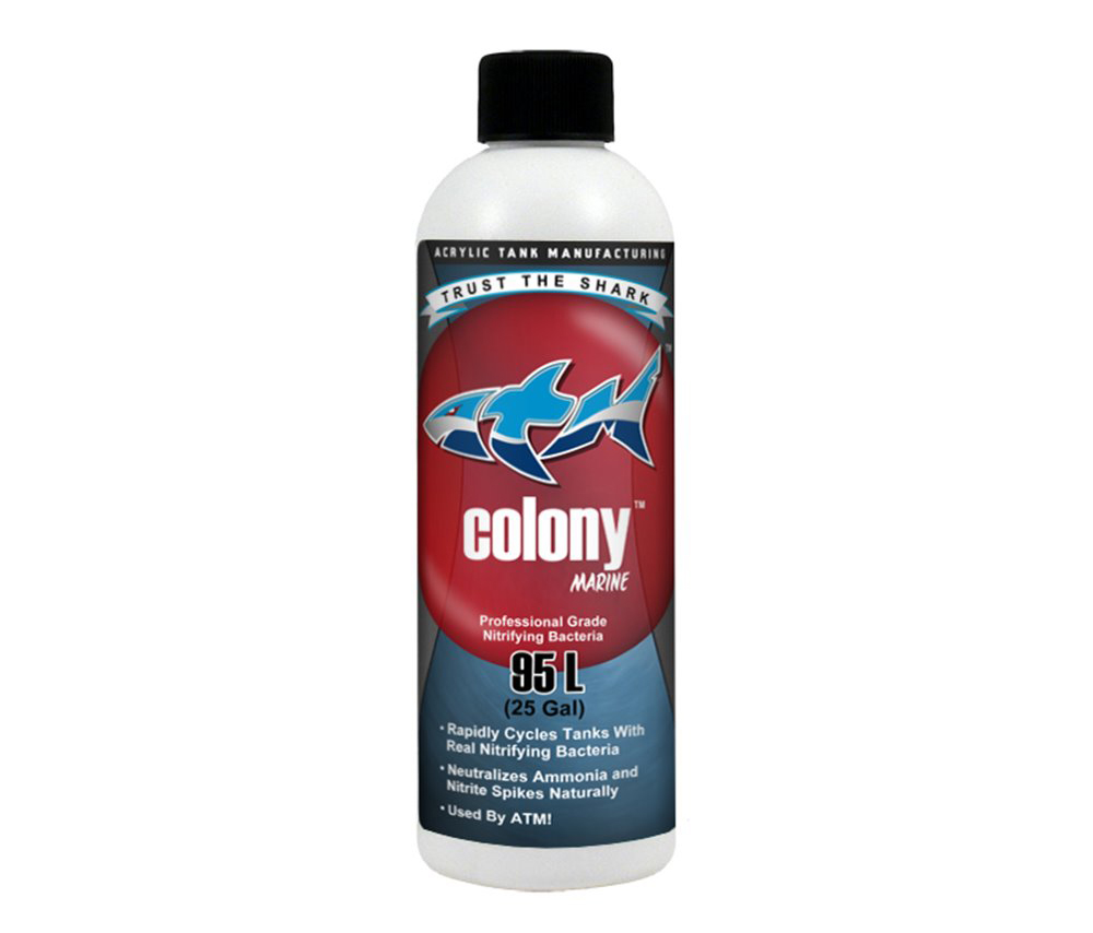 ATM Colony Marine Batteri Nitrificanti per acquari marini 236ml per 95lt