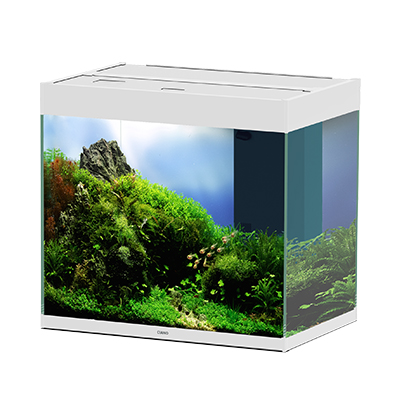 Ciano Aquarium Emotions Pro 60 Bianco Acquario Filtro Esterno 61,2x40,2xh 56cm 108lt