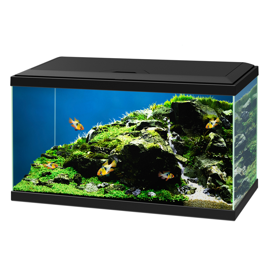 Ciano Aquarium Acquario Aqua 60 Pro Nero 58 litri 60x30x32h cm