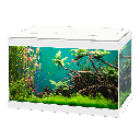 Ciano Aqua 20 Light Led Acquario Led 17Litri Bianco 40x24,8x20h