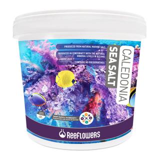 ReeFlowers Caledonia Sea Salt 6.5 Kg