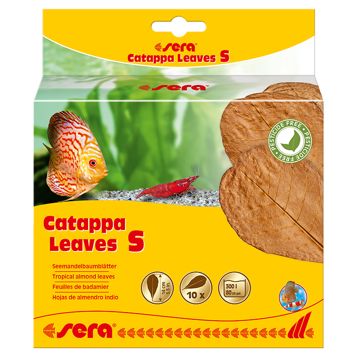 Sera Catappa Leaves Foglie di Catappa S 10 pezzi da 14cm circa per 300l