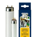 Ferplast Toplife Lampada al neon T8 14W 36.1 cm