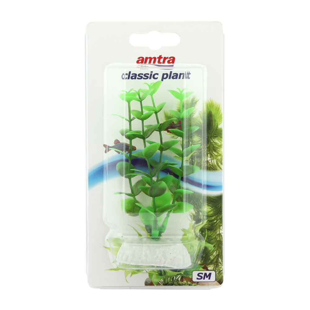Amtra Classic Plant Pianta Rotala Small in plastica 10cm