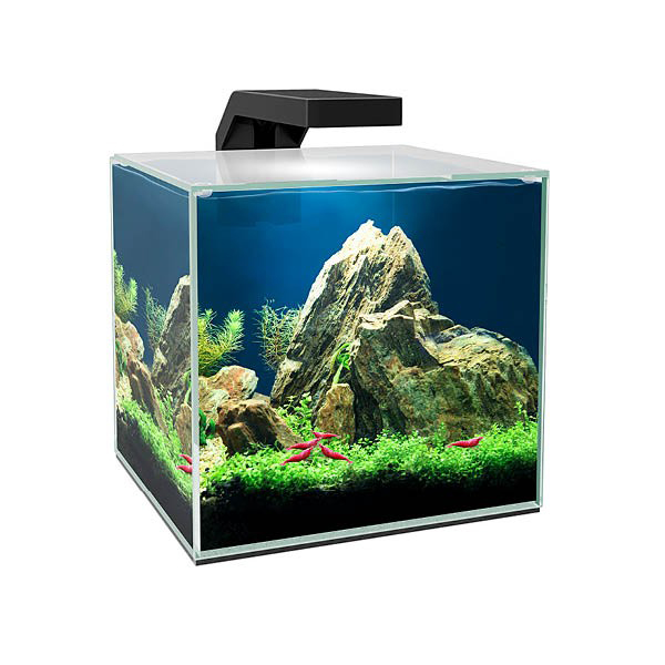 Ciano Aquarium Cube 5 Led Nano Acquario con Filtraggio Luce a Led e coperchio 5 Litri