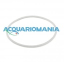 Blu Bios Ricambio Oring Testata Filtro esterno 800/1200