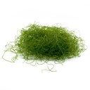 Alga Chaetomorpha per Refugium e Reattori ad Alghe porzione start circa 7cm