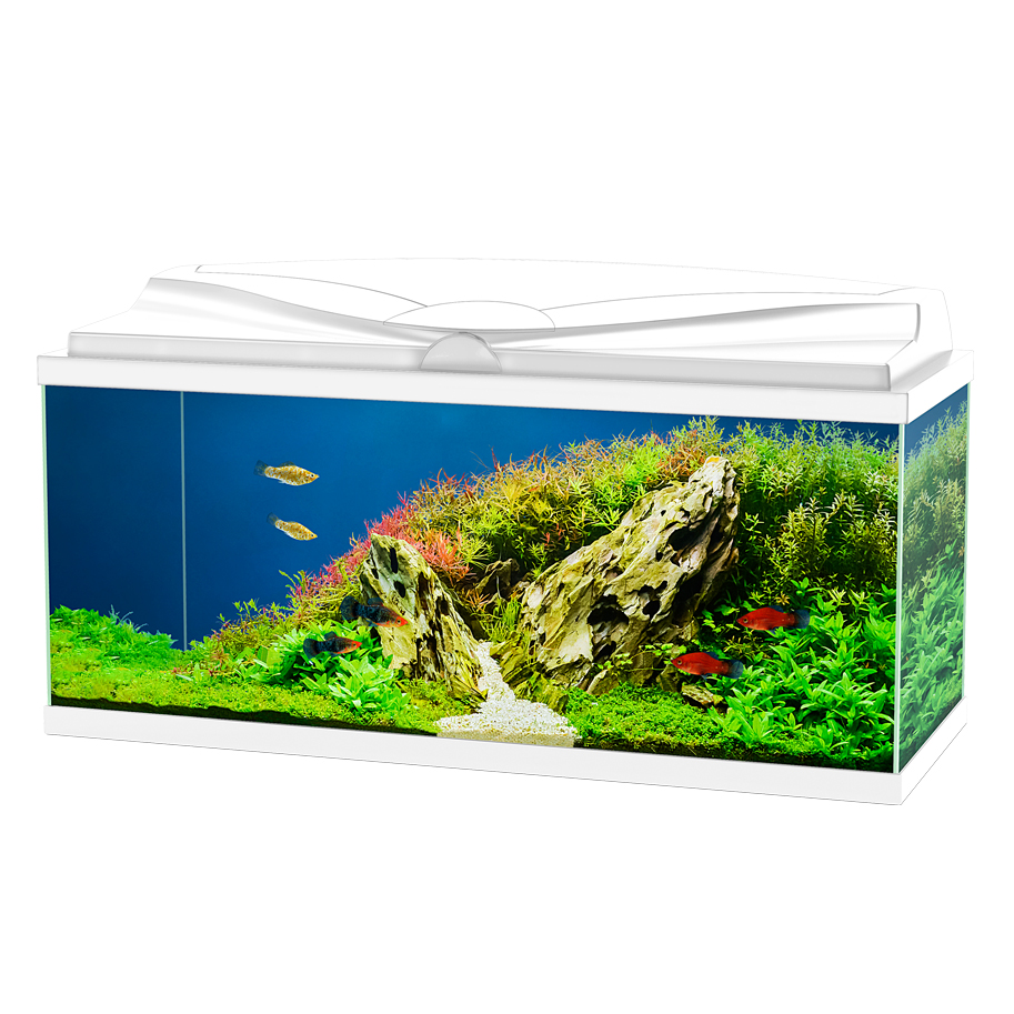 Ciano Aquarium Acquario Aqua 80 Bianco 71lt 80x30x41,5h cm