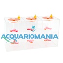 Coral Box Contenitore Liquidi graduato Balling Dosometriche con palette per agitazione 3x1,5 litri