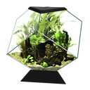 Ciano Nexus Pure Betta Life 5C Acquario per Betta Nero 5.5 litri