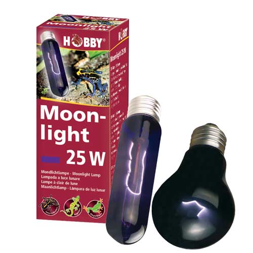 Hobby Moon Light 40W luce notturna per rettili