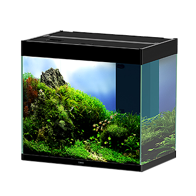 Ciano Aquarium Emotions Pro 60 Nero Acquario Filtro Esterno 61,2x40,2xh 56cm 108lt