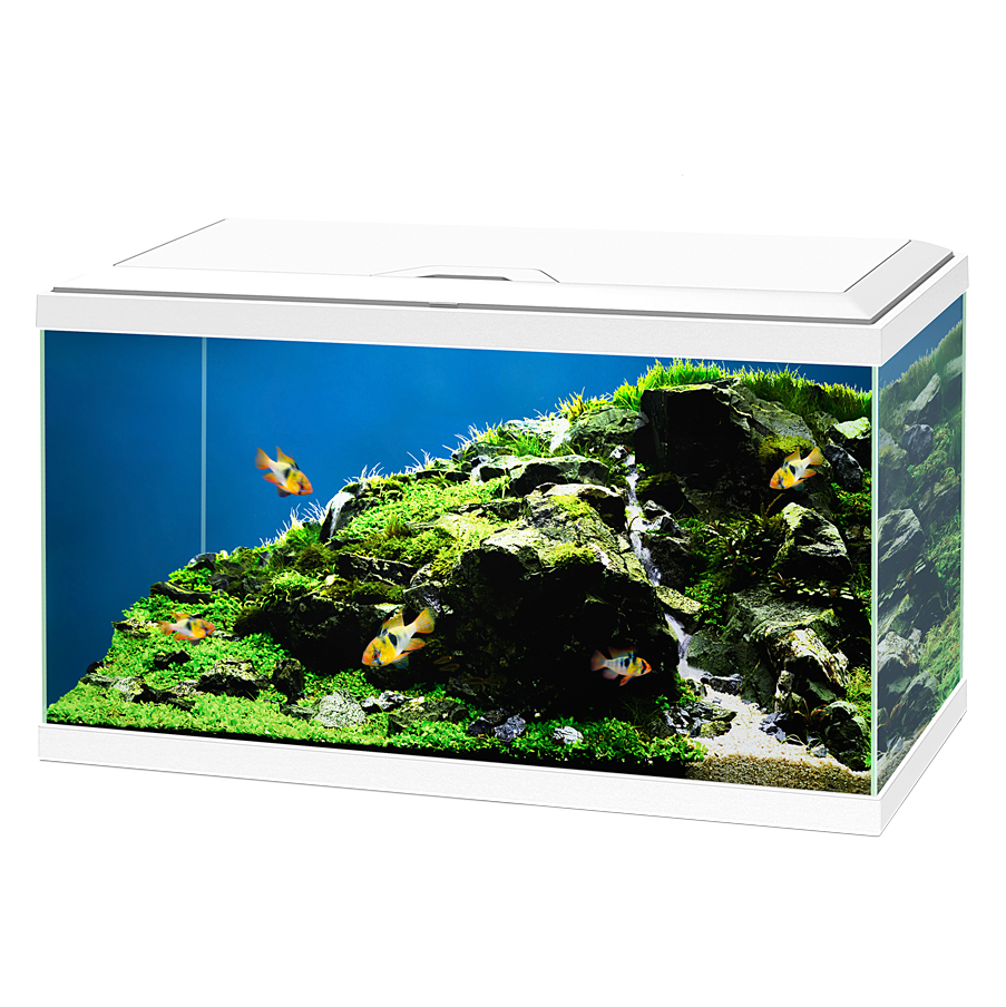 Ciano Aquarium Acquario Aqua 60 Bianco 58 litri 60x30x32h cm