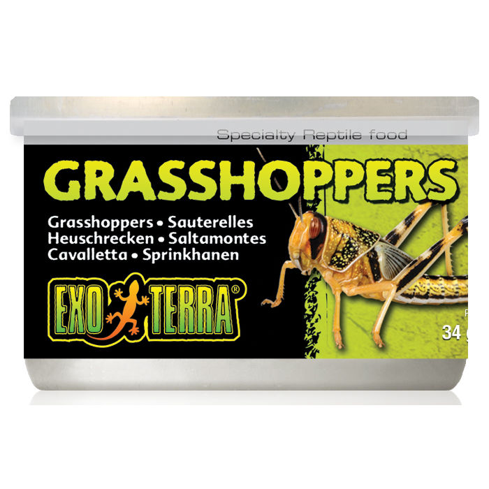 Exoterra Alimento Grasshoppers (Cavallette) 34 g