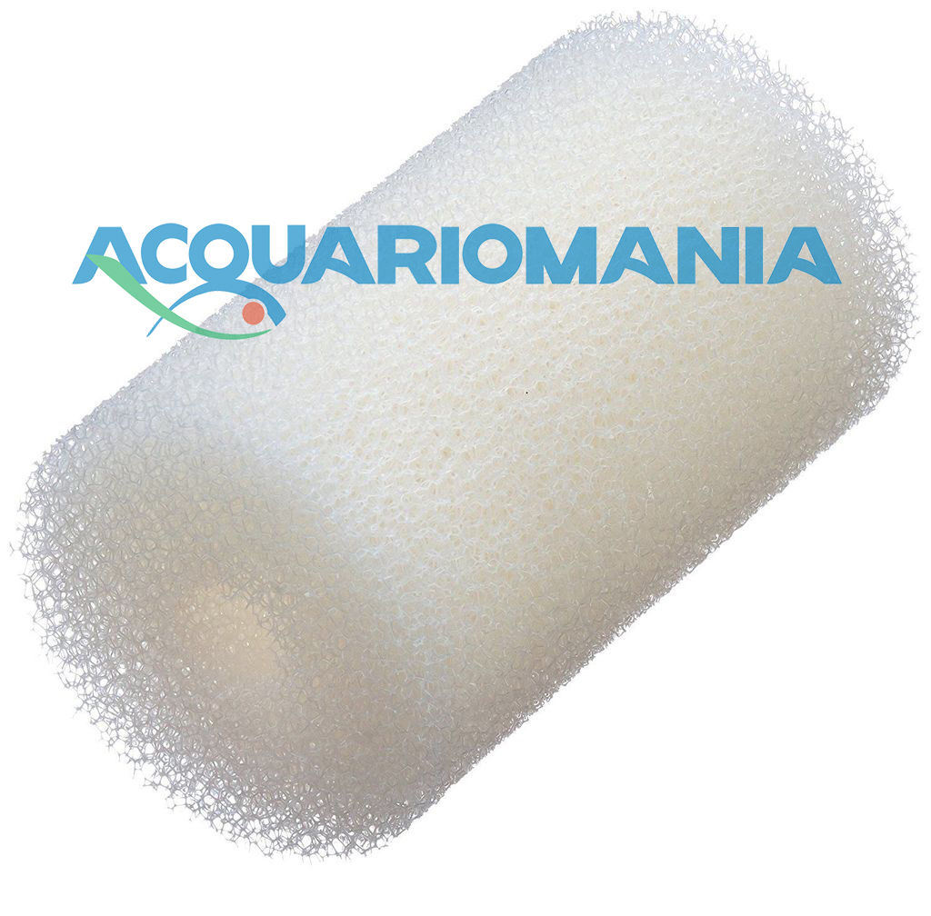 12 Set Spugne Di Ricambio Per TDCS – TheBrainDriver – Spedizione In Tutto Il Mondo