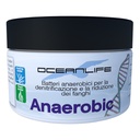 Oceanlife Anaerobic Batteri anaerobici per la denitrificazione e starter per DSB 80ml