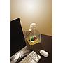 Askoll Marina Cubus Betta Kit Acquario con illuminazione a Led 3.4 litri