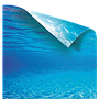 Juwel Sfondo Poster 2 esterno double face S 60x30 cm