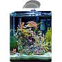 Dennerle Plafoniera Reef Light 36W 10000 K° e Blu attinica 2:2 per Nano Marinus
