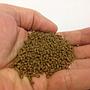 Vitalis (ex New Era) LPS Coral Pellets S Alimento per coralli LPS 50gr
