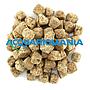 Shg Artemia Liofilizzata 25g