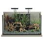 Zolux Acquario Idro 60 Zebrano Grigio 63x35x41,5cm 60 litri