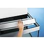 Oase Acquario HighLine 125 con Supporto Antracite 50x50x157