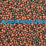 Shg Premium Marino Large 125gr