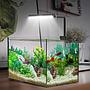 Chihiros CII RGB Lampada a Led con Controller Bluetooth 20W
