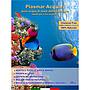 Plasmar Acqua di Mare Naturale per acquari marini 20