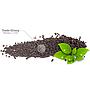 Glas Garten Environment Aquarium Soil Powder Fondo fertile 9l
