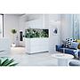 Oase HighLine Room Divider Acquario con Supporto Antracite 302 litri