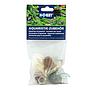 Hobby Conchiglie per acquario