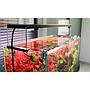 Chihiros WRGB 80 II Pro Plafoniera Led per Acqua dolce Nero 100W da 80 a 100cm