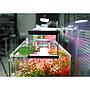 Chihiros WRGB 90 II Pro Plafoniera Led per Acqua dolce Nero 110W da 90 a 110cm